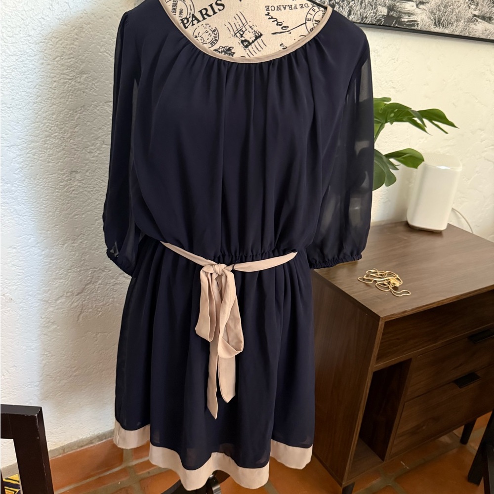 Elegant Navy and Beige Dress